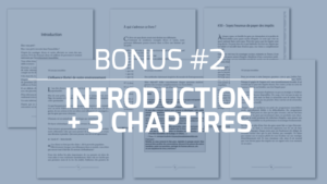 Bonus2bis-107-Principes-Immobiliers-Introduction-3Chapitres